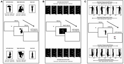 Inversion Reveals Perceptual Asymmetries in the Configural Processing of Human Body